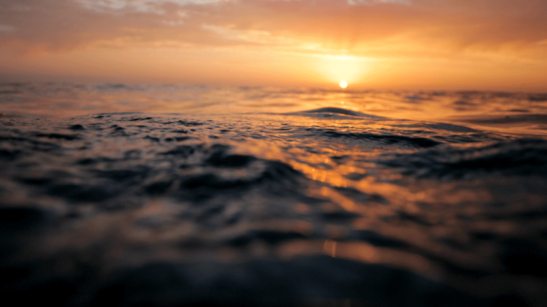 A New Day Begins…..